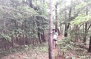 A stroll skim through the woods
